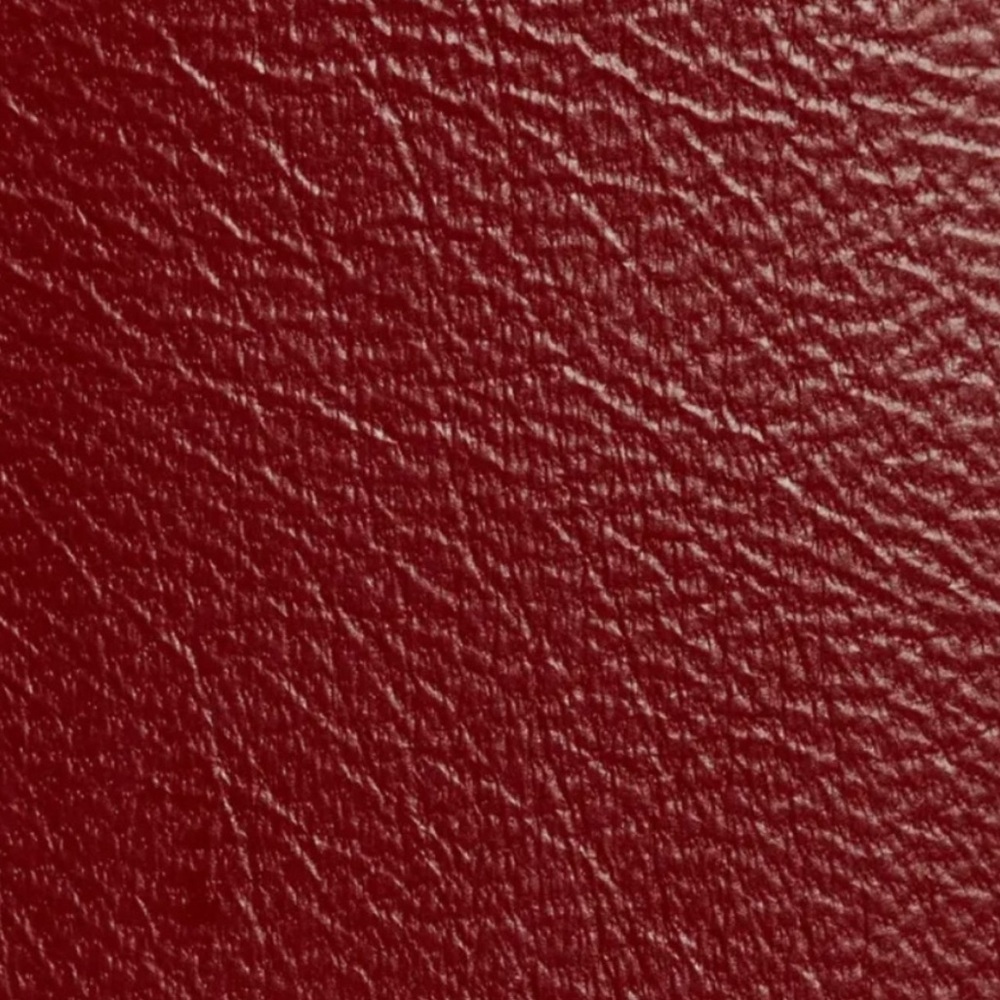 Raina Red Leather Belt - Picture 3 of 9